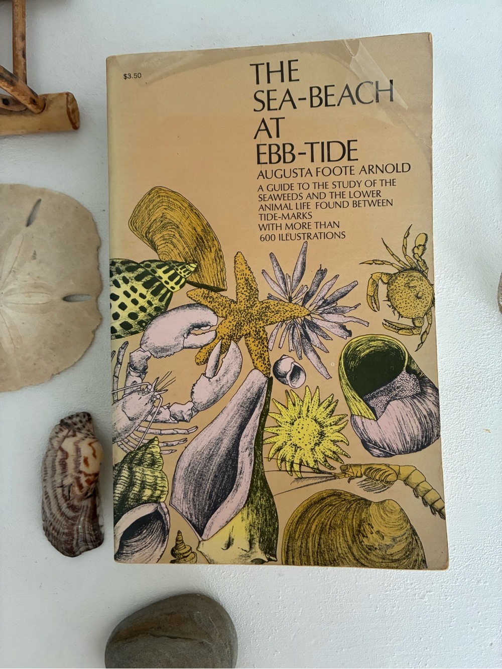 The Sea-Beach at Ebb-Tide Paperback - 490 page vintage field guide, 1968 of 1901
